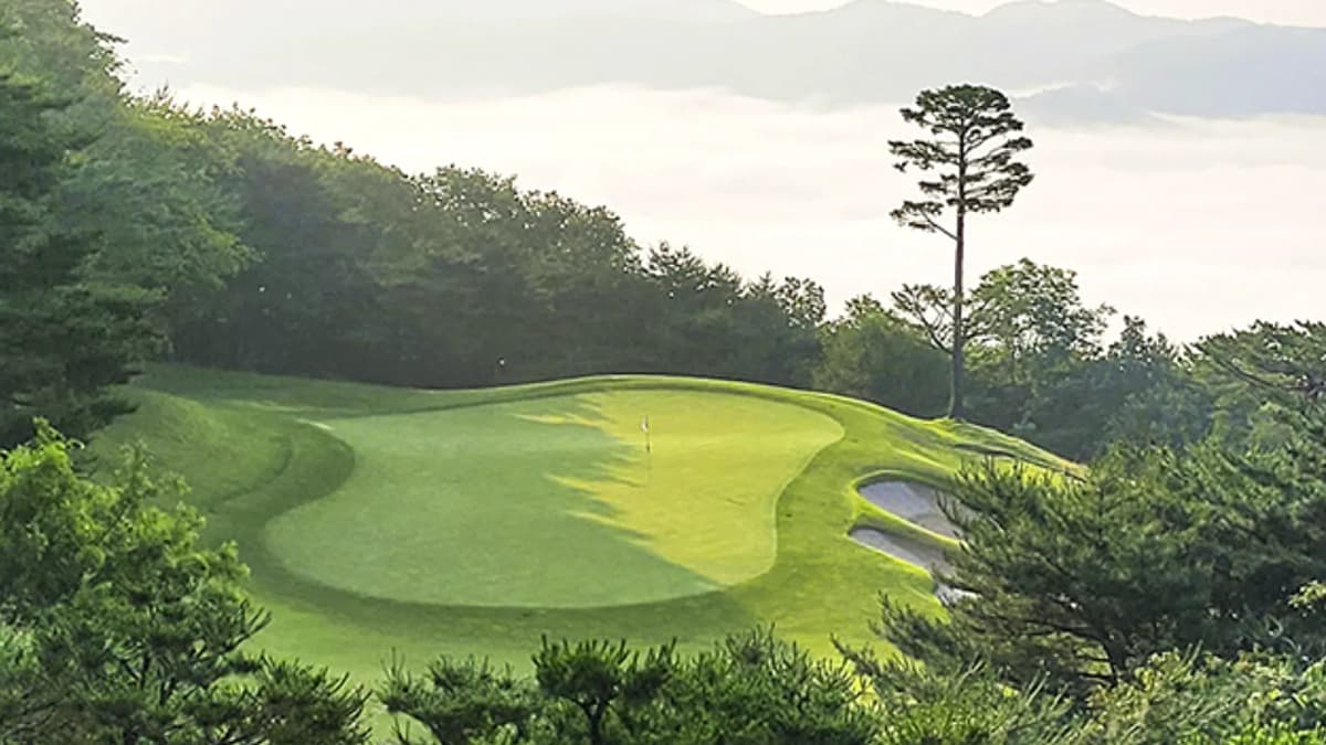 렉스필드CC 코스와 그린은 이랬어요