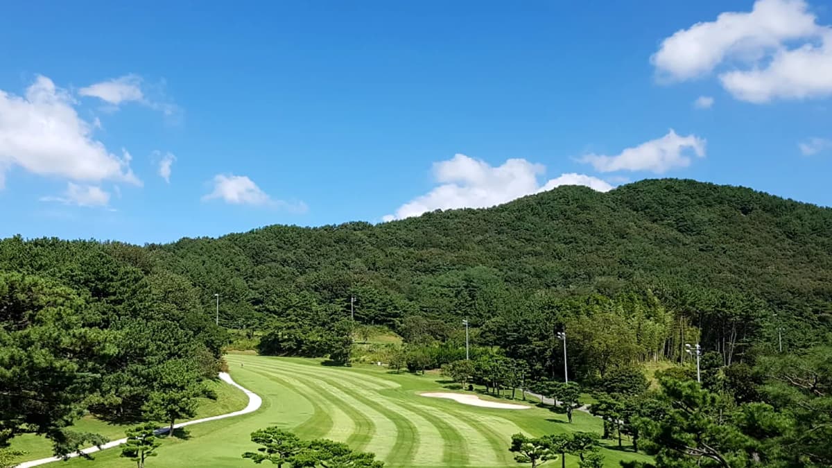 부산CC 전경