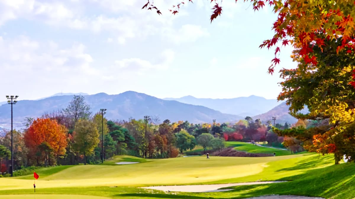 블루원용인CC 코스와 그린은 이랬어요