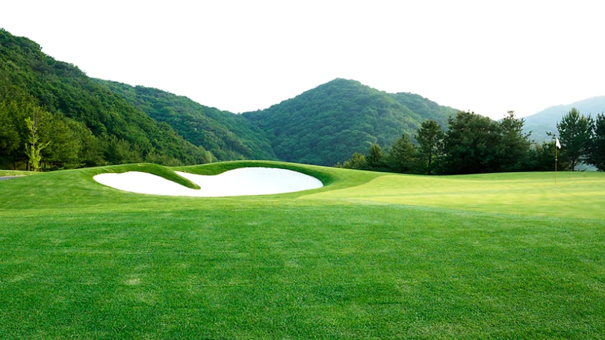 안성CC 전경