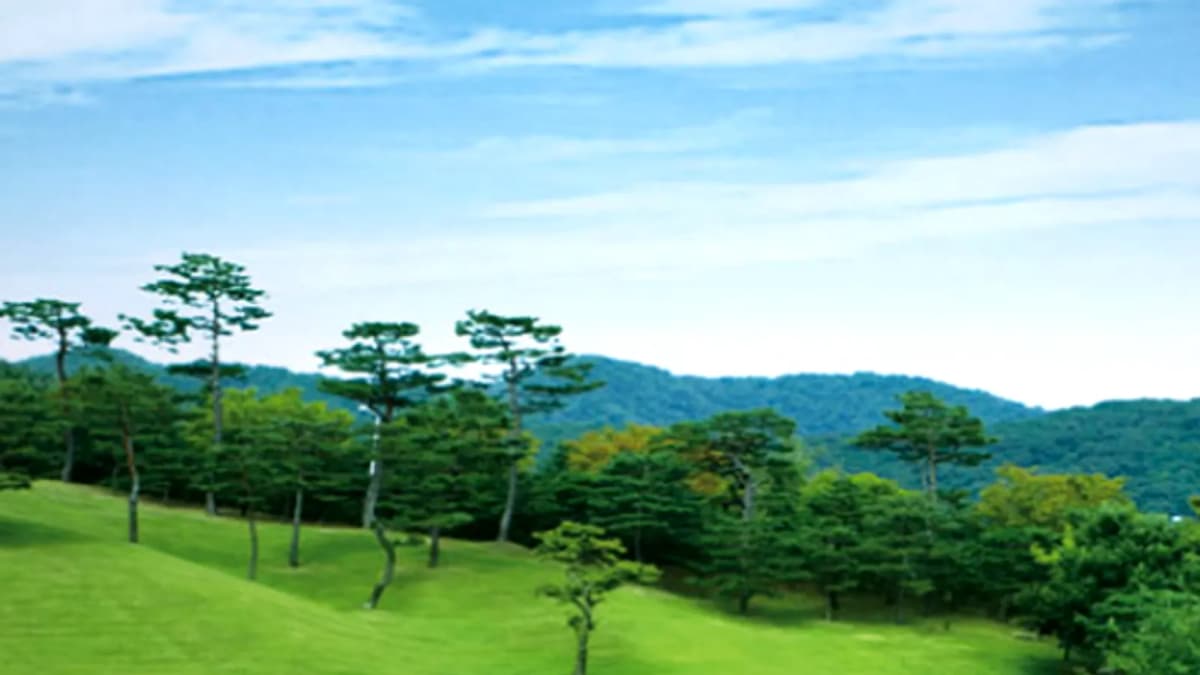 천룡CC 오가는 길, 드는 비용