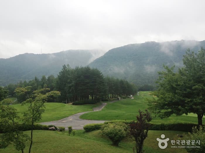 용평CC 전경
